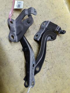 Крепление капота на Toyota Corolla Fielder NZE144G