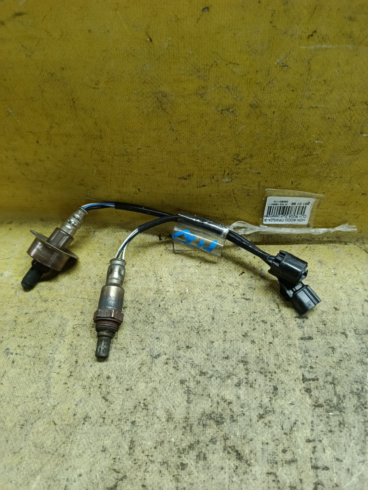 Лямбда-зонд на Honda Accord CU1 R20A Фото 1