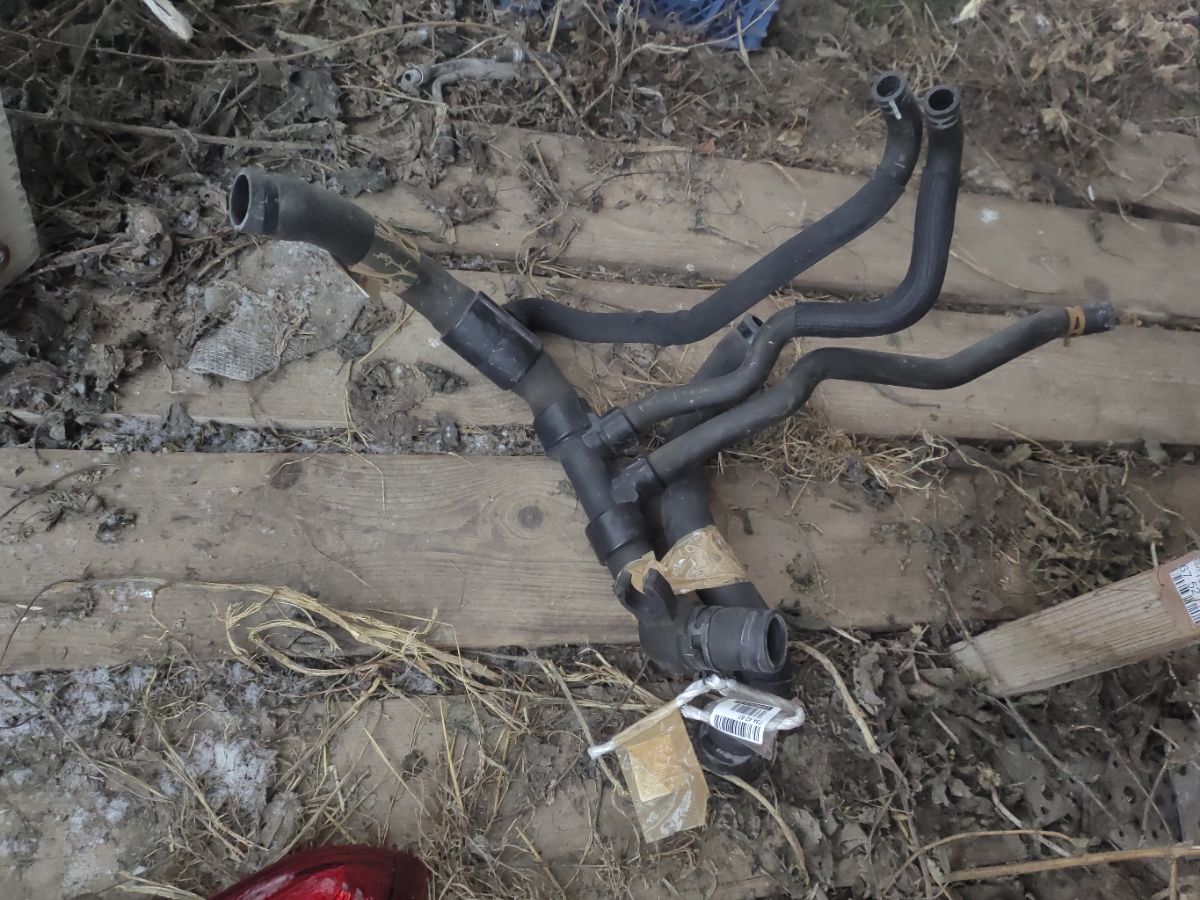 Патрубок радиатора ДВС на Renault Kangoo K4M Фото 3