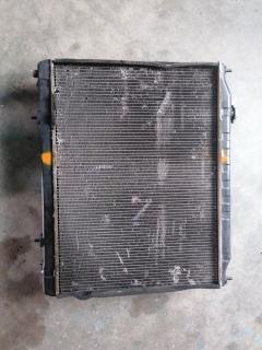 Вентилятор радиатора ДВС на Nissan Elgrand E51 VQ35DE Фото 3