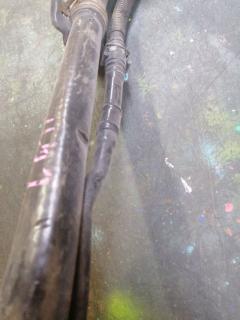 Заливная горловина топливного бака на Nissan Bluebird Sylphy KG11 MR20DE Фото 4