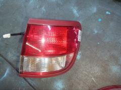 Стоп 220-24892 на Nissan Expert VW11 Фото 4