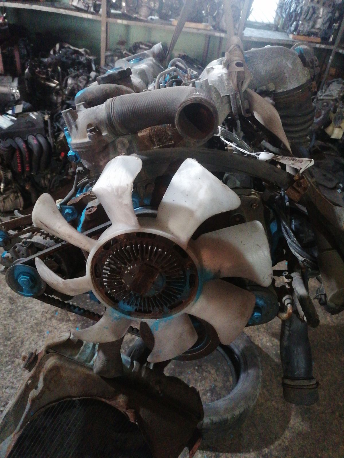 Двигатель на Mitsubishi Canter FG335BD 4D32 Фото 21