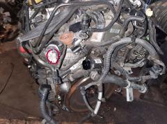 Двигатель на Nissan X-Trail DNT31 M9R Фото 9
