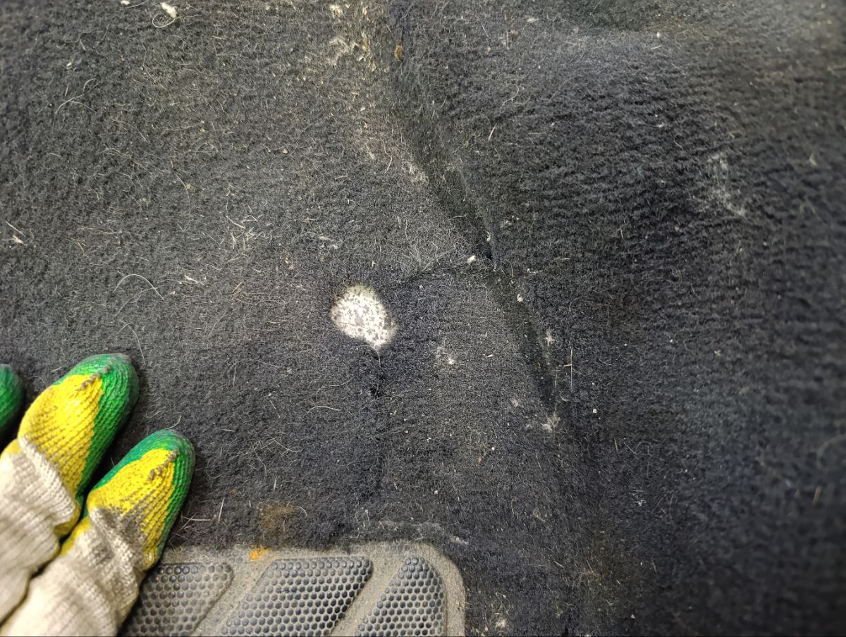 Коврик на Peugeot 307 Фото 20