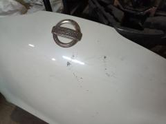 Капот 05032624, 12932101, 1609280, 1609280A1, 1610280A1, 191008, 27 07 03, 270703, 3328660, 6024000, 65100AX630, 6803001609280P, 8120062, 974700, 99B80, DS0113100, DS0113130, DS20083A, DS20083AV, DT48001500000, DT480150, F5100 AX0MM, F5100AX6MA, GD1110B, GD99B80, NI264011, NNMIC03330, NS99B80, PDS20083A, STDT480150 на Nissan March AK12 Фото 7