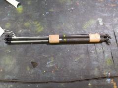 Амортизатор двери 04741-TM8-000 на Honda Insight ZE2 Фото 4