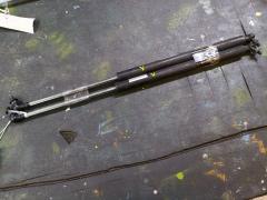 Амортизатор двери 04741-TM8-000 на Honda Insight ZE2 Фото 4