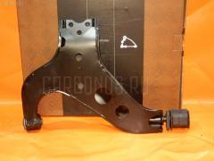 Рычаг на Nissan Terrano LR50 UQUMI UQ-075FL-LR50  0201J31B  0201J31S  0201Z50  02030  0220J31  0224018  0224039  0224040  0224339  0224383  0224J31LH  0440002  05129  05130  05164  0524004  11078  14641A  14641J  14641Q  14643Q  159179  206050  206051  2060511  2061401  2061402  224339  224383  2462S0176  271390  271391  3110023  34666  3827601  4103032  412050  412051  41283  41476  42070  4320091  4320091L  50299  5164  5200214SX  5200421SX  524004  545010W000  545010W001  545019W200  545019W200NM  545019W20C  545019Y000  54560CA000  54570CA000  54570CA000D  5700031ASX  5700032ASX  5700032SX  5700728SX  5700729SX  5700758SX  5700759ASX  574 0192  57401120  5740232  58029  7201174L  72174L  7701673SX  841637  841638  A03K891  AAMNI1032  AAMNI1052  ABJ0203  ADN186115  AS12B45750  AS14AN1220  ASB0263  ASB0270  ATBNI1041  AW1320129LR  AW1360072L  AW1420161  AW1420895  AW1420954  BBJ5656  BCA7069  BG14641A  BJ122  BS174L  BU545019W200NIS  C1307LR  C5470L  C9018  C9019  C9250  CAB10068  CAN30L  CB0332  CBN71  CBSS3  CH26E031L  CQ0277L  CQN14L  CVN11  D110148  DA1527  DC1692  DLZ545019W200  DSA5045AWL  DTZ000263  FB4942  FCA7069  FG0399  FG0444  FK0812  FQ1075L  GM5807  GV0402  HA 801 245  HB 800 225  HQ545009W200  HQ545019W200  J1159  J31099  J31099YMT  JDCSRLA9987  JDN24J31WB  JDN24J31WS  JRR0069  JTC7578  K1126  KAT1075NIS  KT 053270  MA9561L  MB4942  MO2146S  MSA8174L  MTA181  MTA291A  MTB018  N24J31WB  N24J31WS  N450  N75367  N75368  NABJ31B  NABJ31BX  NABJ31S  NBJBJ31  NI0124RP  NI5406CA  NIBJ4954  NIBJ4954RU  NNTEN04810L  NP0759074  NP075FLJ31  NRN9431  NSN1025L  NSO247  NSO280  PS5228L  PSE10572  PSE1741  PSE1742  Q0050211  Q0051965  Q0053557  Q0060055  Q0370247  Q0410435  QF00U00310  QF00U00311  QF00U00316  QF50D00079  R854560CA000  R854570CA000  R854570CA000D  RA22007L  RR545019W200  RR545019W20C  RU715  S060948  SAL11207AL  SB4942  SCA6683  SH49088  SH545019W200  SH545019W20A  ST401609W200  ST5450141U05  ST545019W20C  ST54570EN002  SU10340  SU10559  TEE1710L  TEF1535  TEH1008  TG401609W200  TRK0115  UQ-075-4788  UQ0755904  UQ075FLJ31  VT35298  Z1064  Z46228R  ZVPP194, Переднее Левое расположение