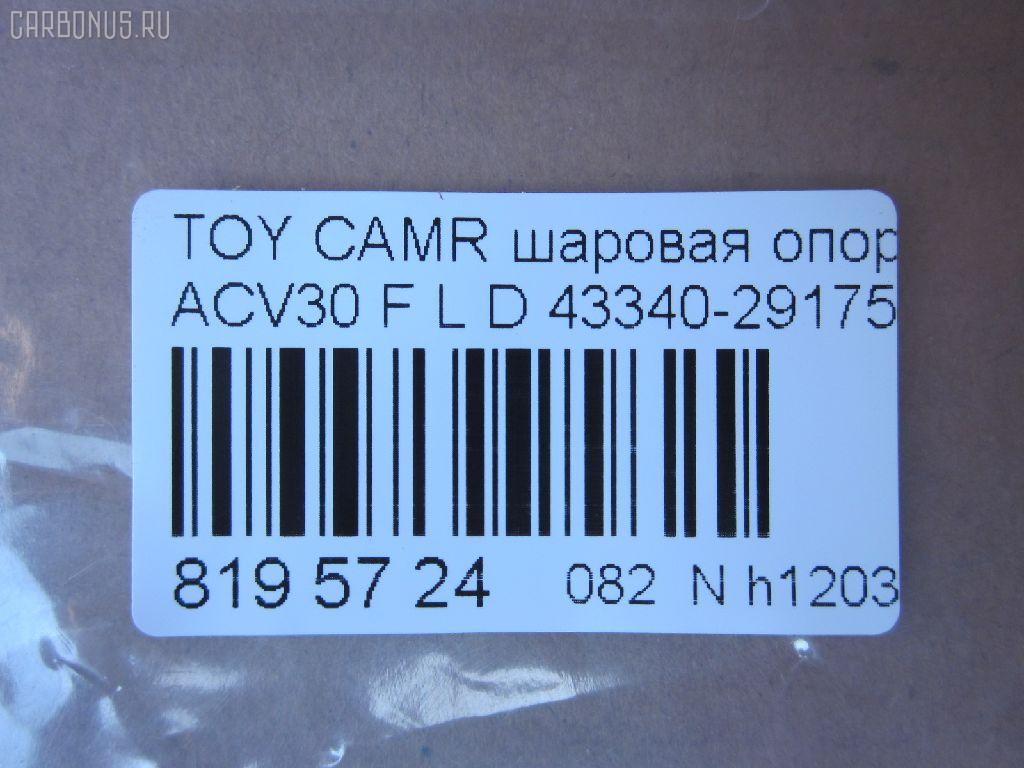 Шаровая опора NANO parts NP-082-4442, 01010737, 0120MCV30L, 03213, 0404338, 041461B, 04345B, 0494338, 0497358, 1010737, 101218EGT, 101252EGT, 1060230132, 10TY1010, 13718AP, 14583302, 206278, 220309, 2206116, 23010360, 28700, 3016 010 0043, 3188, 3213, 34706, 34706 01, 34706PCSMS, 34706SETMS, 35706, 4200140, 4200140L, 4204037, 43122, 43340-29175, 4334009010, 4334009080, 4334029175, 4334029215, 45196, 45475, 4701467, 4703239, 4840300770, 4840300779, 5051302, 51388, 5298038ASX, 5298038SX, 57553, 598 0238, 600000149110, 7302208, 7302208L, 73208, 73208L, 81 92 8700, 81943122, 8500 13568, 880048, 926910, 92TY02607, 9945196, A01SB10140, ABJ0115L, ADT38675, AG4334029215OE, ATBTO1061, AW1320026L, BBJ5467, BJ11001, BJ208, BJ208L, C1098L, CB0402L, CBJ5012, CBT-57L, CBT56L, CET57L, CS0005, DB1002, DB35084, DB35154, DC1168, DC1168BJ, DP101A332, F3188, FBJ5467, FK0959L, FL893D, G3904, GSP401356, HB 821 241, HBJ6204L, IB117007, J12050, J12050JC, J12050YMT, J4862033, JAPBJ208L, JB26752L, JBJ7532, JBJTO004, JSB0029L, K1228, KAT10053TOY, KSB050L, KT 053240, L13568, LTO1097, LVSJ915, MB3752L, MBJ8208, MO2108, MTB034L, MV4334029175, NST2008L, PS3181L, PXCJF017, Q0410240, QF50D00029, QSJ3372S, R8010L, R84334029175, RE3548, RLB6133L, RP4334029215, S080149, S080236, SB-3752L, SBJ11123AL, SBJ9012, SR8817, SS5376, SS6305, ST4334029175, SU10623, T186, T420A67, TC1514, TEA1710L, TG4334029175, TG5121, TG5216, TO1007, TO1042, TO2201BJ, TOBJ3001, TYA1035AWL, TYB87834, TYCAM02820L, VPM4334029175, VSJ915 на Toyota Camry ACV30 Фото 2