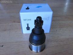 Шаровая опора на Honda Accord CL7 NANO parts NP-082-5358  01050445  0320CL7D  0404366  04510SZ3000  047544B  101253EGT  1050445  1060230151  14584104  22020AP  220485  2462S0261  3116 010 0015  35699  3603023  38277 01  4200081  42138  4710065  51210SZ3010  51215SZ3010  51220-SDA-A02  51220SDA305  51220SDAA00  51220SDAA02  51220SZ3010  5200181ASX  5200181SX  537 0216  5370219  57028308  600000149460  6685  723155  7304402  73402  8500 40574  85942138  880630  9210909  9947285  ABJ0308  ADH286137  ATBHO1015  AW1320297LR  BBJ5579  BJ10097  BJ402  C1261LR  CB0118  CBHO-33  CBJ7180  DB1221  DB35083  FBJ5579  FL10524D  G31052  H420A98  H545  HB 870 221  HNB11589  HO2001BJ  HOBJ10683  J14004  J14006  J14010  J14010YMT  J14Z0004  J24Z0002  J4864013  JAPBJ402  JB28312  JBJ7604  JBJHO008  K1409  KAT1018HON  LVSJ1196  MB6312  MBJ8402  MV51220SDAA02  N4864014  NSH2190  PS3324  PXCJJ008  Q0410641  QF00U00140  QSJ3551S  R851220SDAA00  S080481  SB-6312  SB6132  SBJ2024  SBJ31304S  SJ2507  SS7631  ST51220SDAA02  TC2942  TEA1064  TG51270SM4A04  TG5191  V260293  VPM51220SDAA02  ZSDHD010, Переднее Нижнее расположение