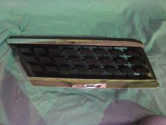 Решетка радиатора TYG DS07286GAR, 62320-ED000 на Nissan Tiida C11 Фото 2