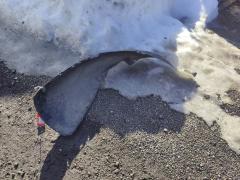 Подкрылок 915.VW11163AL, 6X0809961A, PVW11033AL, VW040016L0L00, VW11033AL, VWA1-016L-2 на Volkswagen Lupo 6X Фото 4