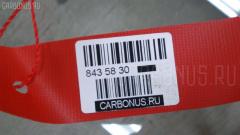 Подкрылок LT-TY6165, 53876-12350, 8115FL1T, 8400-352, GD2588FL, ST-TY28-016L-2, ST-TY28-016L-E2, TY11197AL, TY280016L-1L00, TYCRL04-300-L, TYCRL04300L на Toyota Corolla Runx NZE124 Фото 3