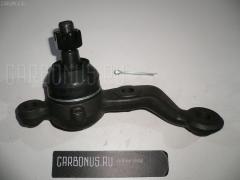 Шаровая опора на Lexus Gs300 JZS161 NANO parts NP-082-1993  01010877  0120401  0120JZS160LH  0499285  1010877  17371AP  220569  2462S0403  4200307  4200307L  43026  43340-39345  4334039345  4334039415  45286  50818  5200115ASX  5200115SX  5200194SX  5200195SX  5886  600000149200  81943026  880523  92LX06260  ABJ0128L  ADT386130  ATBTO1126  AW1320287L  BBJ5514  BBJ5515  C1289L  CB0420  CBJ5006  CBT76  FBJ5514  J12046  J12046JC  J12046YMT  J4862050  JB21288L  K1245  K1270  LXC26763  N4862055  PS30014L  PXCJF018  Q0410219  QF00U00026  QF00U00027  QSJ3516S  S080713  SB-T282L  SBJ31108AL  SBJ9048  SBT282R  SBT286L  ST4334039345  ST4334039415  SU10626  T4334039415  T89533  TC2317  TEA1716L  TO2206BJ  ZSDTY046, Переднее Левое Нижнее расположение