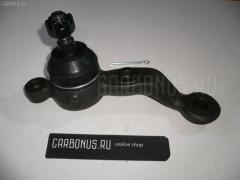 Шаровая опора на Lexus Gs300 JZS161 NANO parts NP-082-1993  01010877  0120401  0120JZS160LH  0499285  1010877  17371AP  220569  2462S0403  4200307  4200307L  43026  43340-39345  4334039345  4334039415  45286  50818  5200115ASX  5200115SX  5200194SX  5200195SX  5886  600000149200  81943026  880523  92LX06260  ABJ0128L  ADT386130  ATBTO1126  AW1320287L  BBJ5514  BBJ5515  C1289L  CB0420  CBJ5006  CBT76  FBJ5514  J12046  J12046JC  J12046YMT  J4862050  JB21288L  K1245  K1270  LXC26763  N4862055  PS30014L  PXCJF018  Q0410219  QF00U00026  QF00U00027  QSJ3516S  S080713  SB-T282L  SBJ31108AL  SBJ9048  SBT282R  SBT286L  ST4334039345  ST4334039415  SU10626  T4334039415  T89533  TC2317  TEA1716L  TO2206BJ  ZSDTY046, Переднее Левое Нижнее расположение