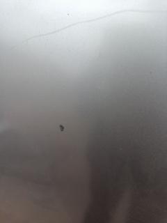 Капот 60100-S0A-000ZZ на Honda Accord CF4 Фото 13