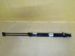 Амортизатор двери на Nissan Note E12 Фото 3