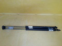 Амортизатор двери на Honda Insight ZE2 Фото 3