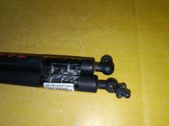 Амортизатор двери на Honda Insight ZE2 Фото 4