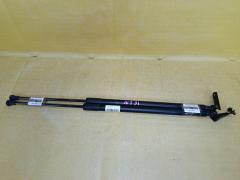 Амортизатор двери на Nissan X-Trail NT31 Фото 3