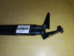 Амортизатор двери на Nissan X-Trail NT31 Фото 4