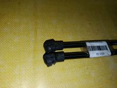 Амортизатор двери на Nissan X-Trail NT31 Фото 5