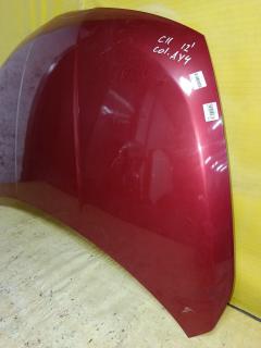 Капот DS20100A, F5100 ED0MM, F5100ED0MM, F510M ED0MA, F510MED0MA, NS01080AA, STDTW50150, SYNS036G002 на Nissan Tiida C11 Фото 4