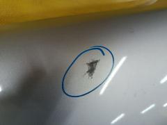 Крыло переднее на Nissan Fuga Y50 Фото 6