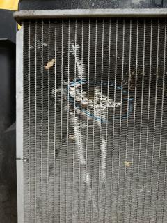 Вентилятор радиатора ДВС на Nissan March AK12 CR12DE Фото 6