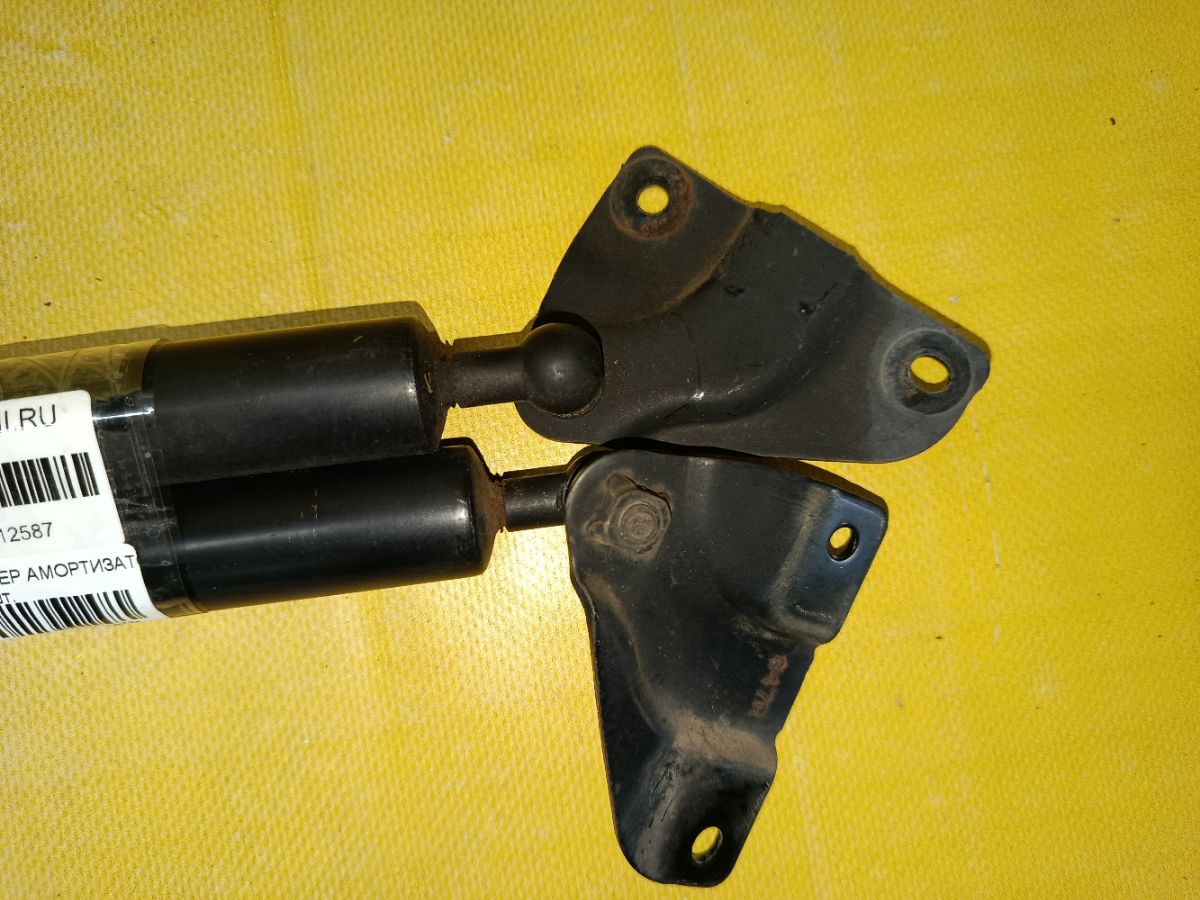 Амортизатор двери на Honda Stepwgn RF1 Фото 4