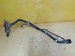 Заливная горловина топливного бака на Toyota Alphard ANH10W 2AZ-FE Фото 6