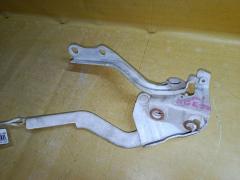 Крепление капота на Toyota Wish ZGE20G Фото 3