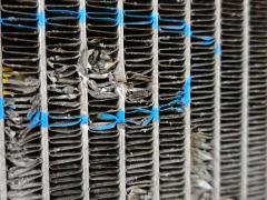 Вентилятор радиатора ДВС на Nissan Tiida C11 HR15DE Фото 7