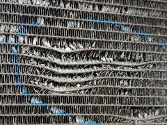 Радиатор ДВС на Toyota Prius ZVW30 2ZR-FXE Фото 8