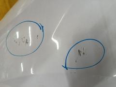 Крыло переднее на Honda Insight ZE2 Фото 8