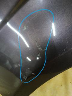 Крыло переднее на Nissan Note E11 Фото 7