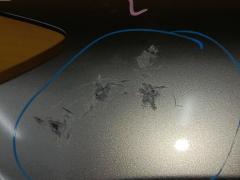 Крыло переднее KD53-52-211A, MZ10088AL на Mazda Cx-5 KE2FW Фото 8