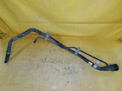 Заливная горловина топливного бака на Toyota Alphard MNH10W 1MZ-FE Фото 3