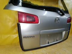 Дверь задняя P2182 P2182, на Mazda Demio DY3W Фото 8