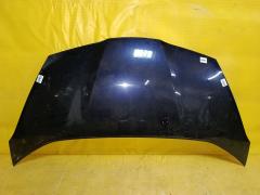 Капот на Honda Fit GE6 Фото 5