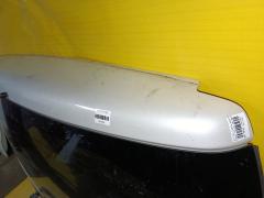 Дверь задняя 1143-231 1143-231, на Mitsubishi Delica D5 CV5W Фото 6