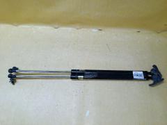 Амортизатор двери на Toyota Probox NCP51V Фото 3