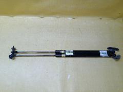 Амортизатор двери на Toyota Probox NCP51V Фото 4