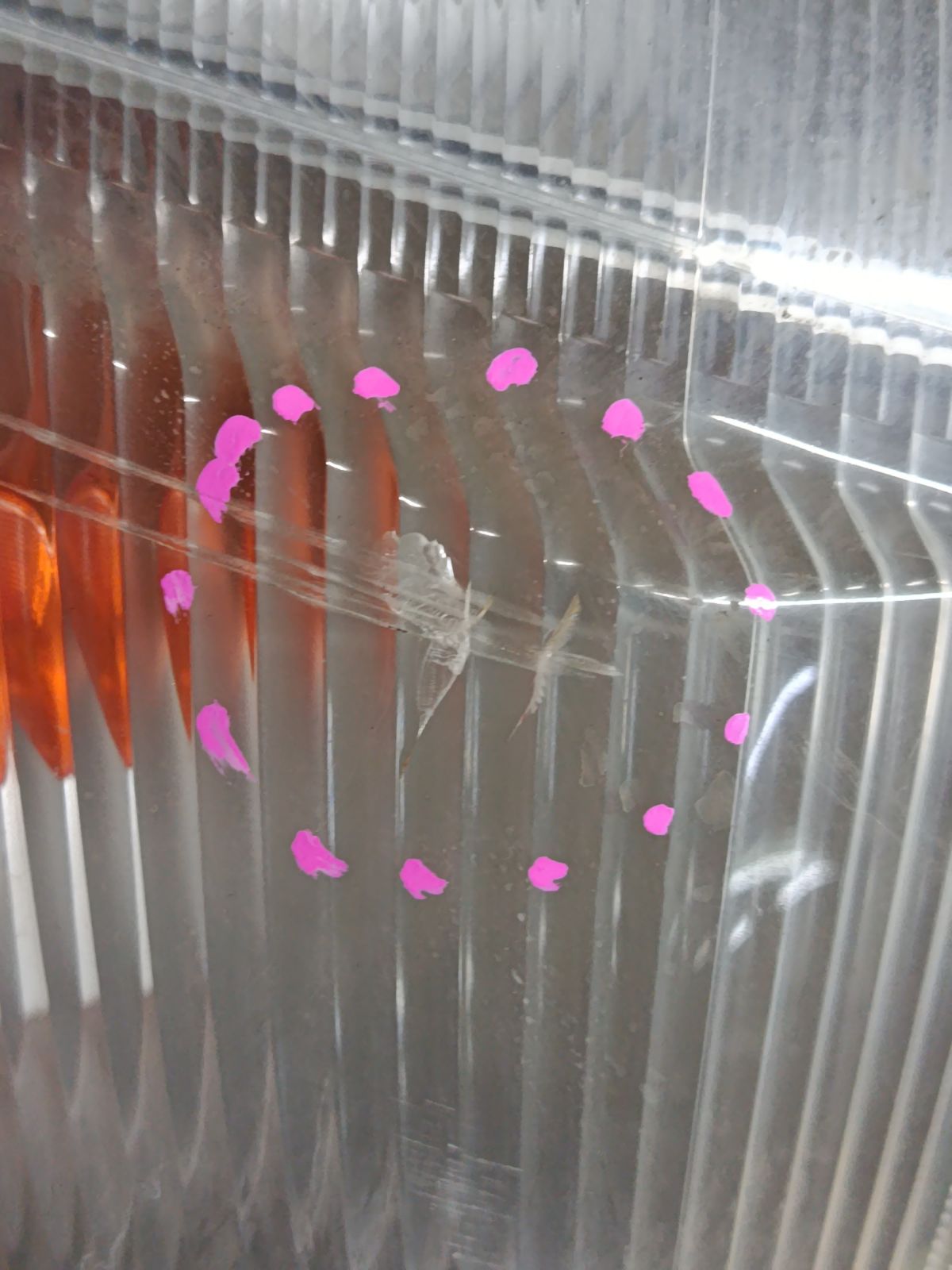 Очки под фару 28-112 28-112,53131-28061 на Toyota Lite Ace KR42V Фото 7