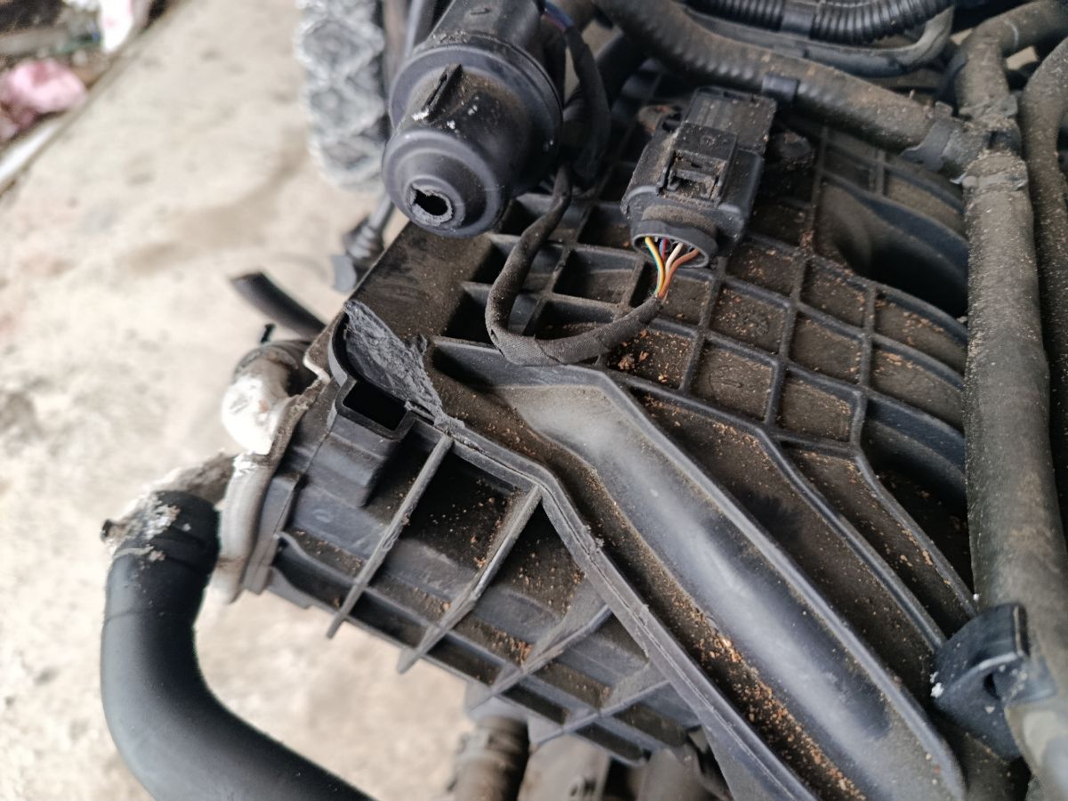 Двигатель на Audi A3 8P CAX Фото 6