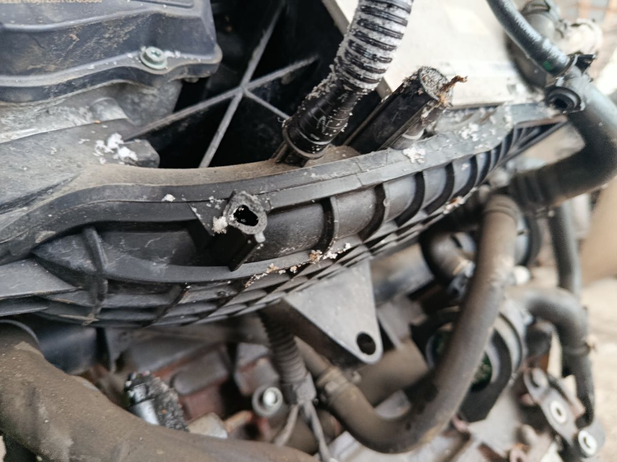 Двигатель на Audi A3 8P CAX Фото 7