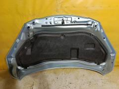 Капот 05031967, 12302101, 160108, 2741660, 3421280A1, 453303, 453303J, 5605000, 6803003421280P, 8120189, 931800, 99C30, D6Y1-52-31X, FP 4420 280, GD99C30, L04472, MV D6Y15231X, MVD6Y15231X, MZ0201A, MZ20052A, MZ20052AJ, MZ20052AQ, MZ20052AV, MZ3093100, MZ3093130, MZ51101500000, MZX0207330, PMZ20052A, STMZ520150, YRJ10M208001 на Mazda Demio DE3FS Фото 5