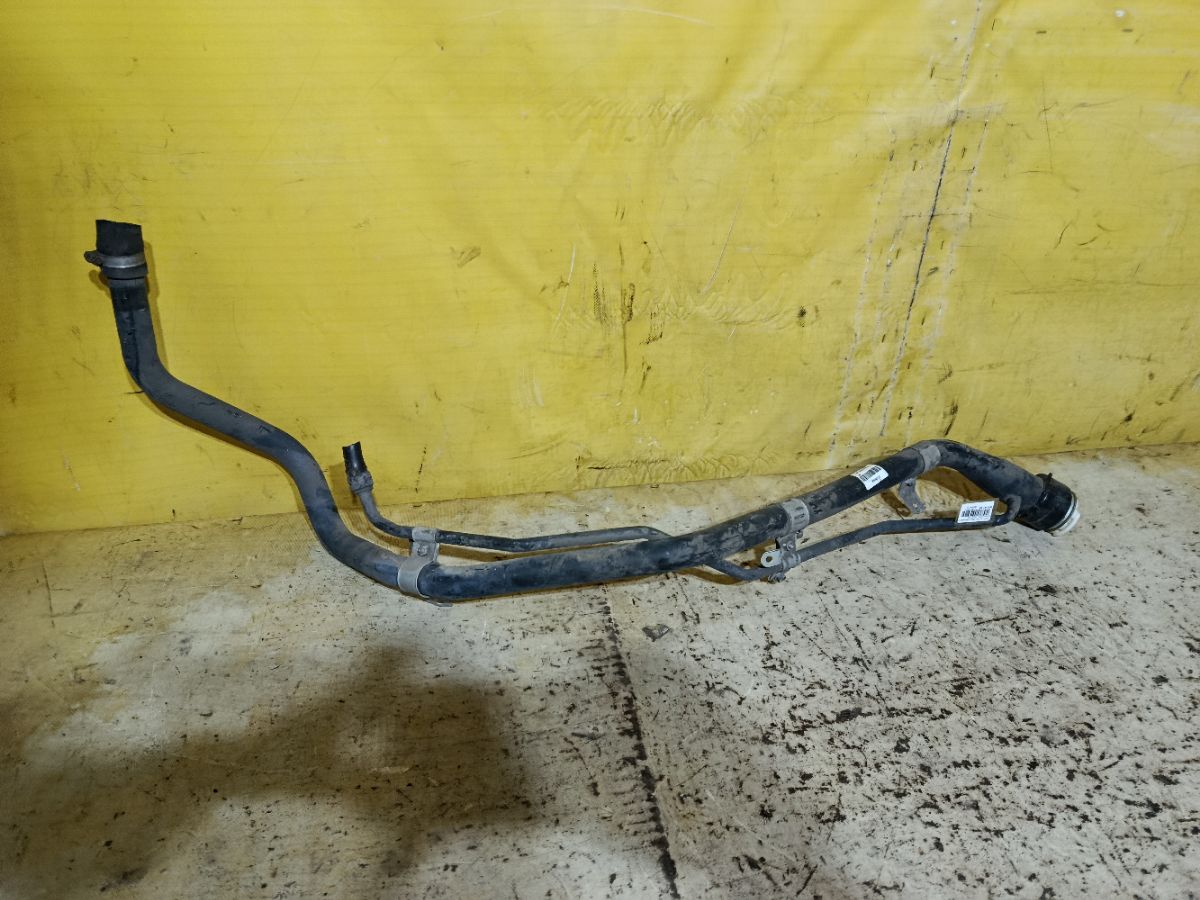 Заливная горловина топливного бака на Toyota Alphard MNH15W 1MZ-FE Фото 3