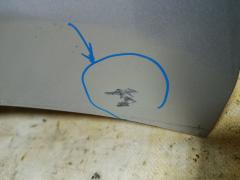 Капот на Toyota Wish ZGE20G Фото 4